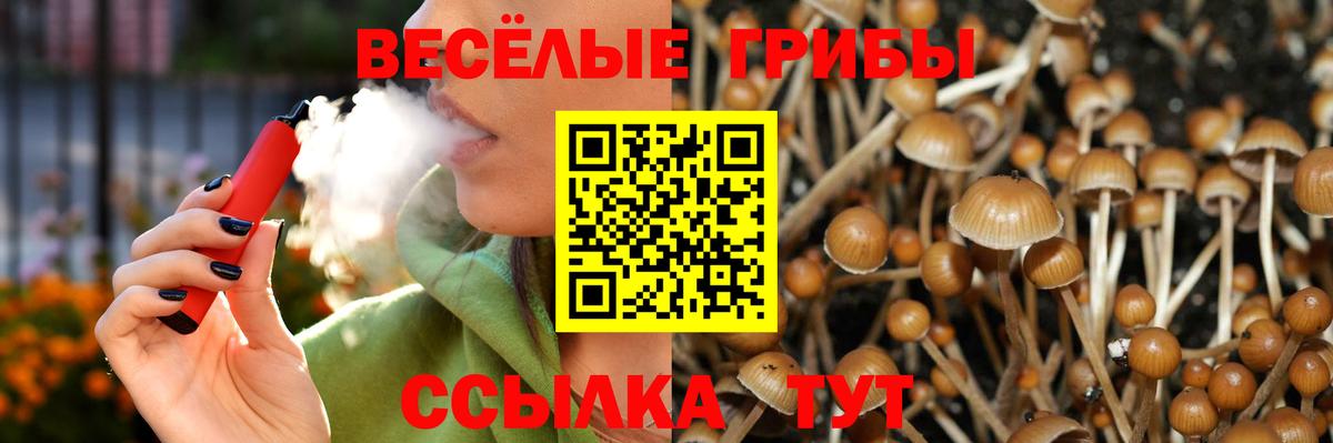 Галлюциногенные грибы Magic Shrooms  Вход с VPN  Новошахтинск  Псилоцибиновые грибы Cubensis 